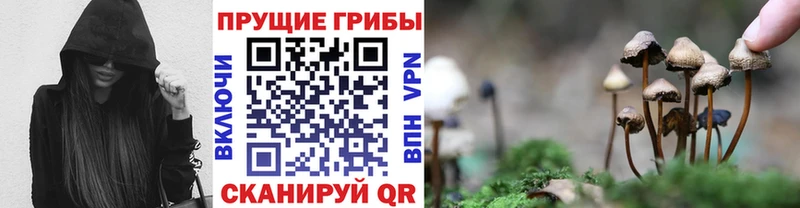 Галлюциногенные грибы Cubensis  где можно купить   Дюртюли 
